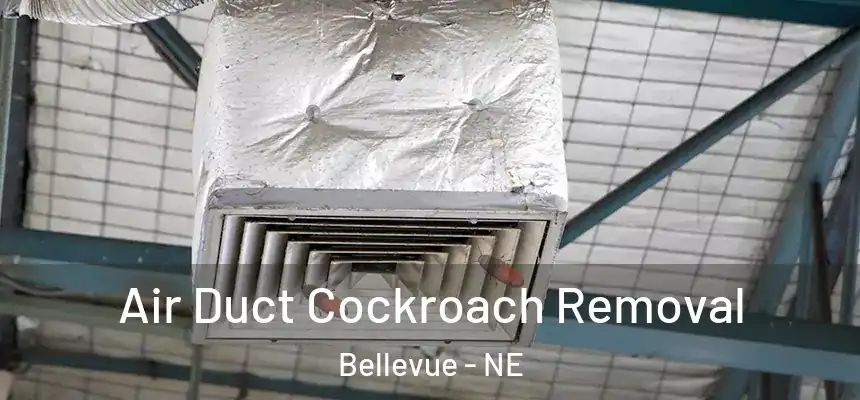  Air Duct Cockroach Removal Bellevue - NE