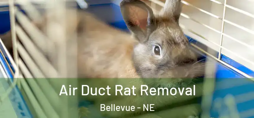  Air Duct Rat Removal Bellevue - NE