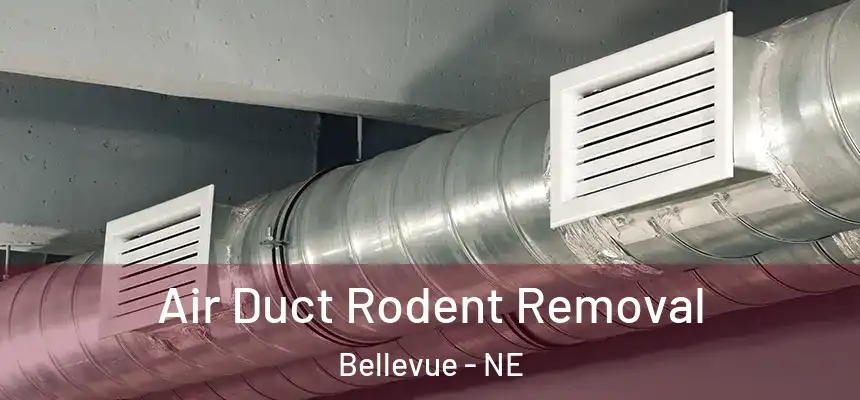  Air Duct Rodent Removal Bellevue - NE
