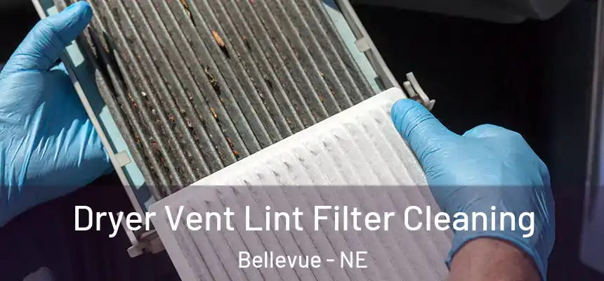  Dryer Vent Lint Filter Cleaning Bellevue - NE