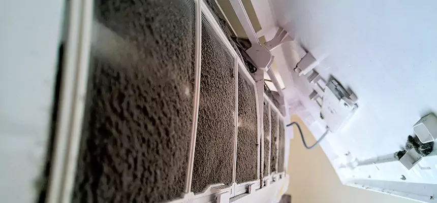 Preventive Air Duct Bacteria Removal in Bellevue