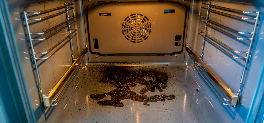 Our Dryer Vent Mold Cleaning Services in Bellevue, NE