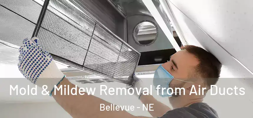  Mold & Mildew Removal from Air Ducts Bellevue - NE