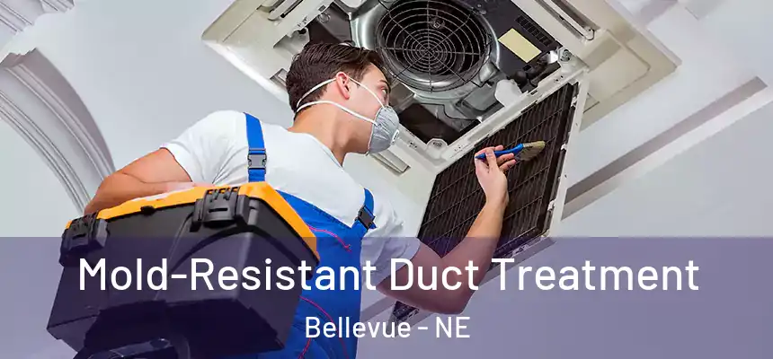  Mold-Resistant Duct Treatment Bellevue - NE