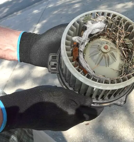 About Air Duct Mice Removal in Bellevue, NE