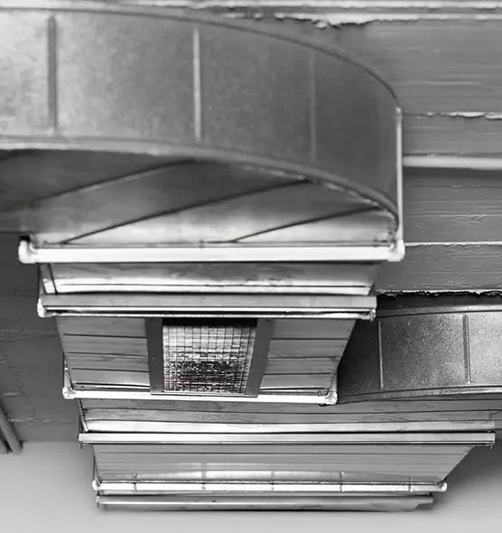 Professional Air Duct Pet Hair Removal in Bellevue, NE