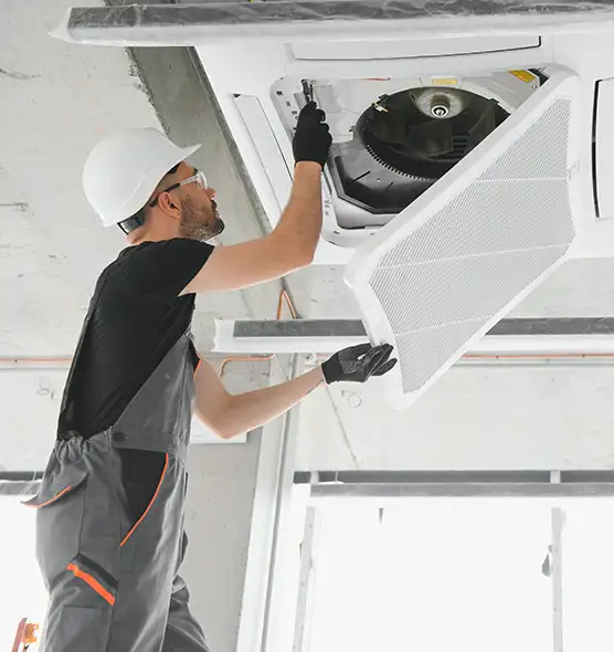 About Air Duct Rodent Removal in Bellevue, NE