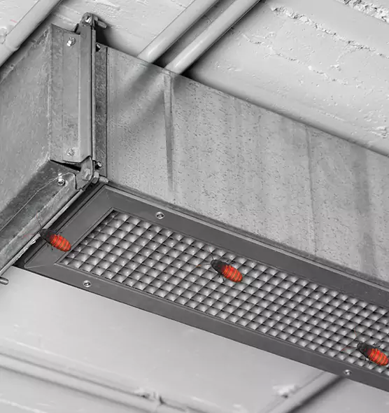 Affordable Insect Removal from Air Ducts in Bellevue, NE