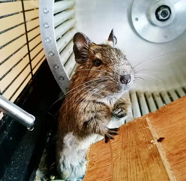 Why Homeowners & Businesses Trust Us Bellevue, NE?