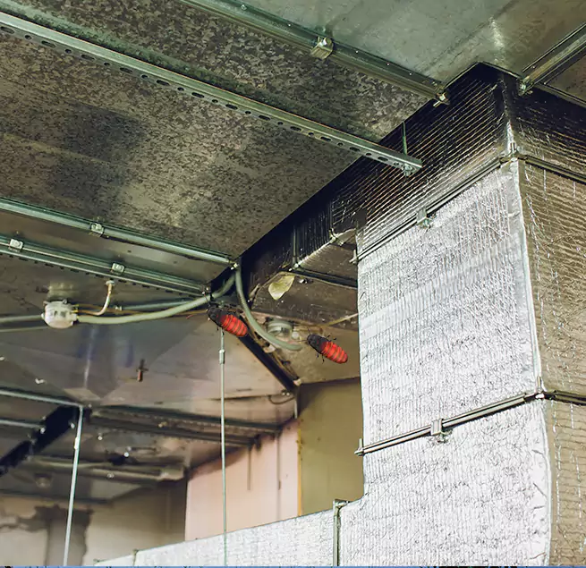 Why Homeowners & Businesses Trust Us Bellevue, NE?