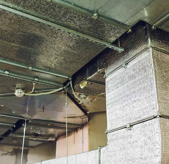 Why Homeowners & Businesses Trust Us in Bellevue, NE?